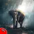 Animal Wallpapers HD 4K