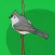 Word of the Bird