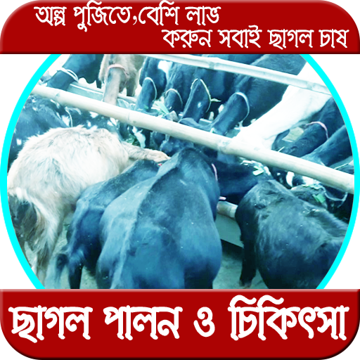 ছাগল পালন ও চিকিৎসা ছাগল পালন ও চিকিৎসা