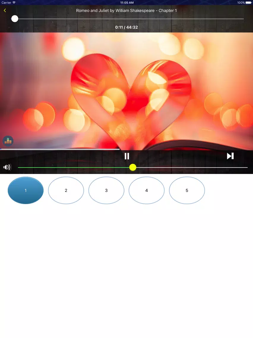 Audio Books - Books of Royal PRO iPad Screenshots