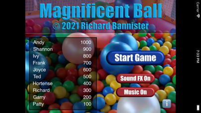 Magnificent Ball Ekran Görüntüleri