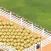 Egg Farm Frenzy
