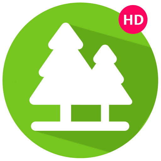 Forest Sounds