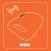 BeSafe Anti Abandon Device
