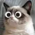 EyeBomb! Add Googly Eyes to Anything!