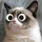 EyeBomb! Add Googly Eyes to Anything!