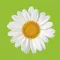 Modern Gardens: Makeover Tips
