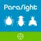 PARASIGHT