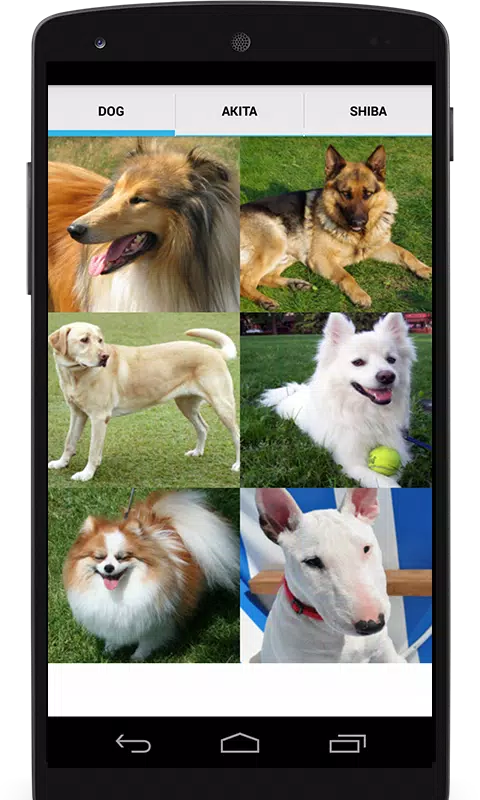 Dog Video Creator (Dog Sounds) Screenshots