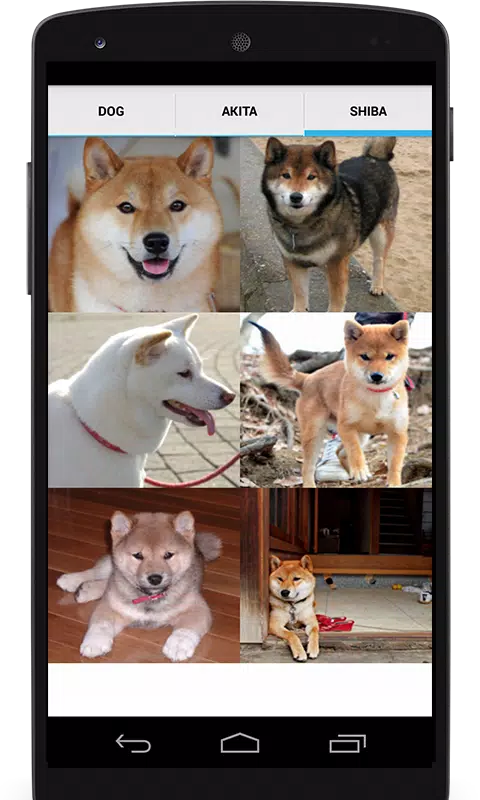 Dog Video Creator (Dog Sounds) Screenshots