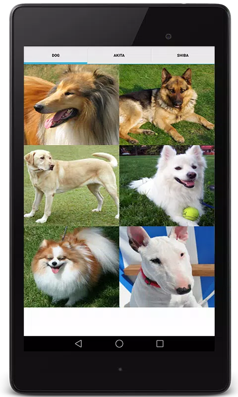 Dog Video Creator (Dog Sounds) Screenshots