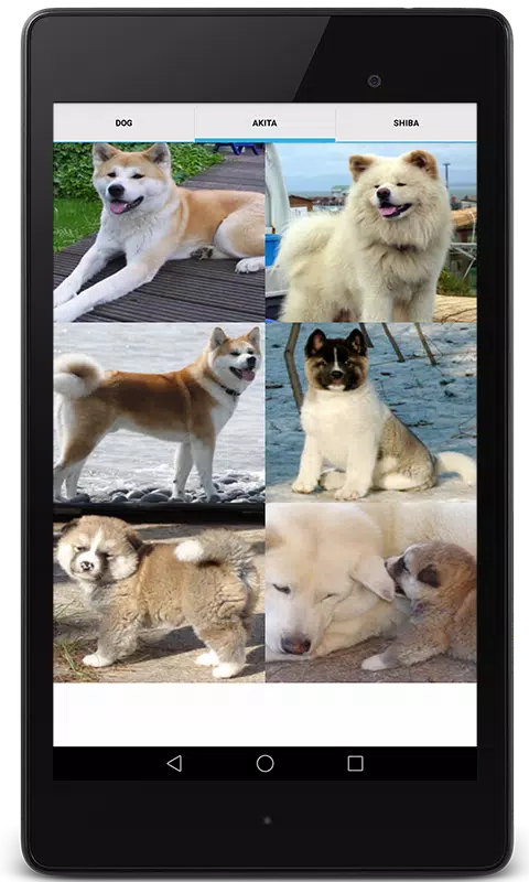 Dog Video Creator (Dog Sounds) Screenshots