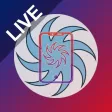 PCSO Lotto Results Guide Live
