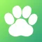 Animals: 4 Pics & Word Quiz
