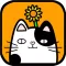 DizzyMeow