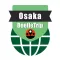 Osaka travel guide and offline metro city map by Beetletrip Augmented Reality Advisor