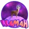 Llamah in Space