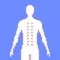 TaoBody Acupoint Massager
