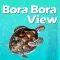 Bora Bora View