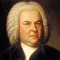 Bach Brandenburg Concerto