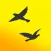 Flocker - Twitter Followers
