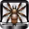 Real Spider