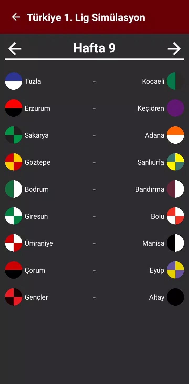 Türkiye 1.Lig Simülasyon 23/24 Screenshots