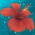 Hidden Gems of Bermuda 2 Game