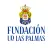 Futbol Base UD Las Palmas