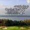 Crooked Tree