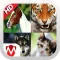 Animal sounds - App for kids