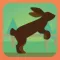Make the Pet Jump Multiplayer