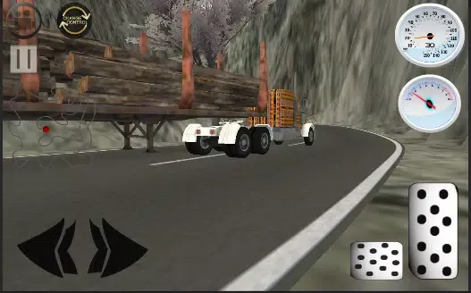 Pak Cargo Transporter - 2022 Screenshots