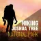 Hiking - Joshua Tree National Park