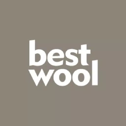 Best Wool Carpets Best Wool Carpets