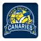 SF Canaries