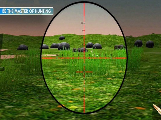 Duck Shoot: Animal Hunting iPad  स्क्रीनशॉट