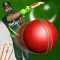 PSL Cricket Championship