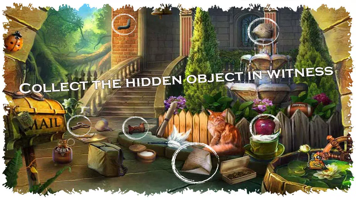تصاویر Find The Witness
