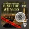 Find The Witness Pro