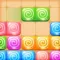 BigBang Slides: Blocks Puzzle