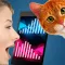 Cat Translator Real Sim
