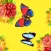 Butterfly Pack