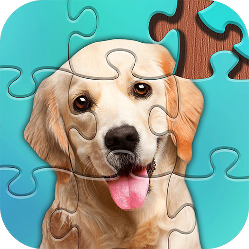 Jigsaw Puzzles Jigsaw Puzzles