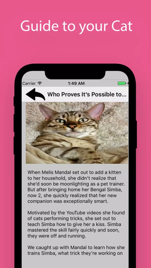 My Cats Guide Screenshots