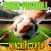 Crash Football Skillz