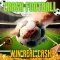 Crash Football Skillz