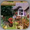Hidden Objects:Garden Of Tile