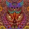 Coloring Owl:Paint Color Cases