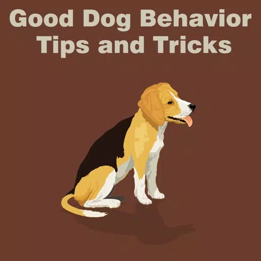 All about Good Dog Behavior Tips and Tricks All about Good Dog Behavior Tips and Tricks